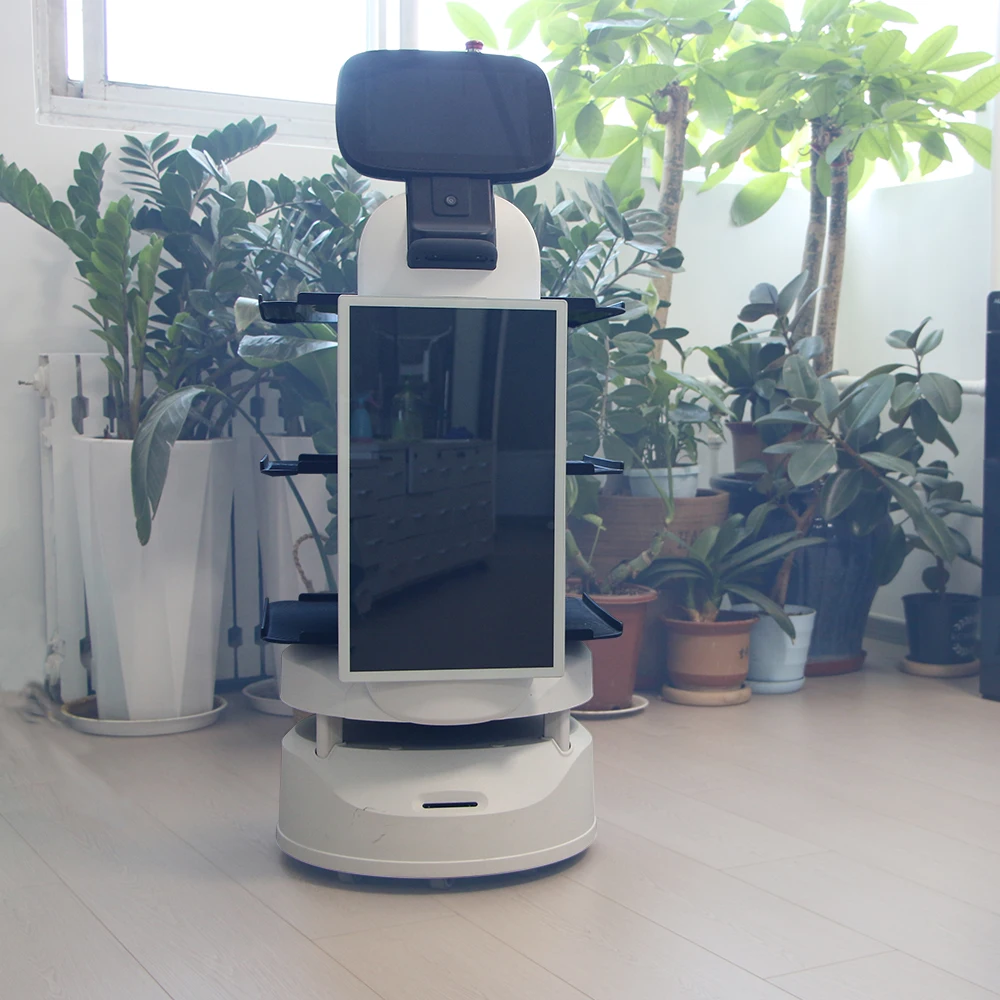 China Big Factory Good Price Swgway Food Robot Cafe Shop Welcome