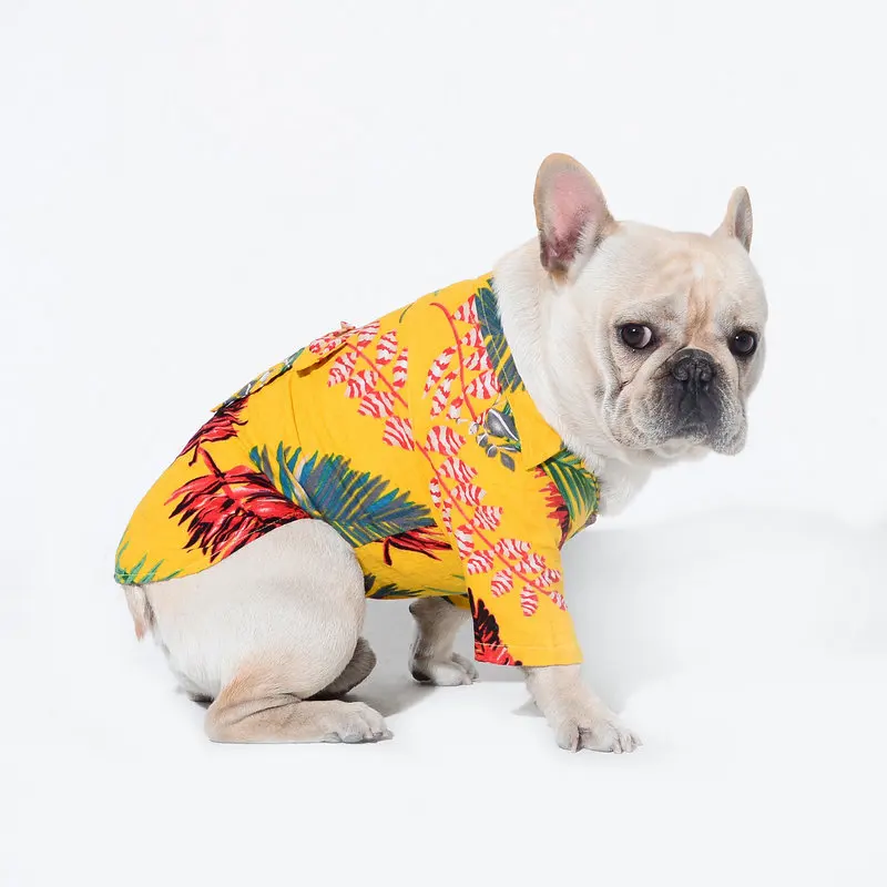 2022 New Fashion Spring Summer Dog Shirt Dog Clothes Beach Style Pet Clothes  - Buy Pet Clothes Fashion,Dog Spring Shirt,Dog Summer Shirt Product on  