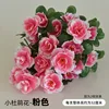 Pink Seven-Forked Rhododendron