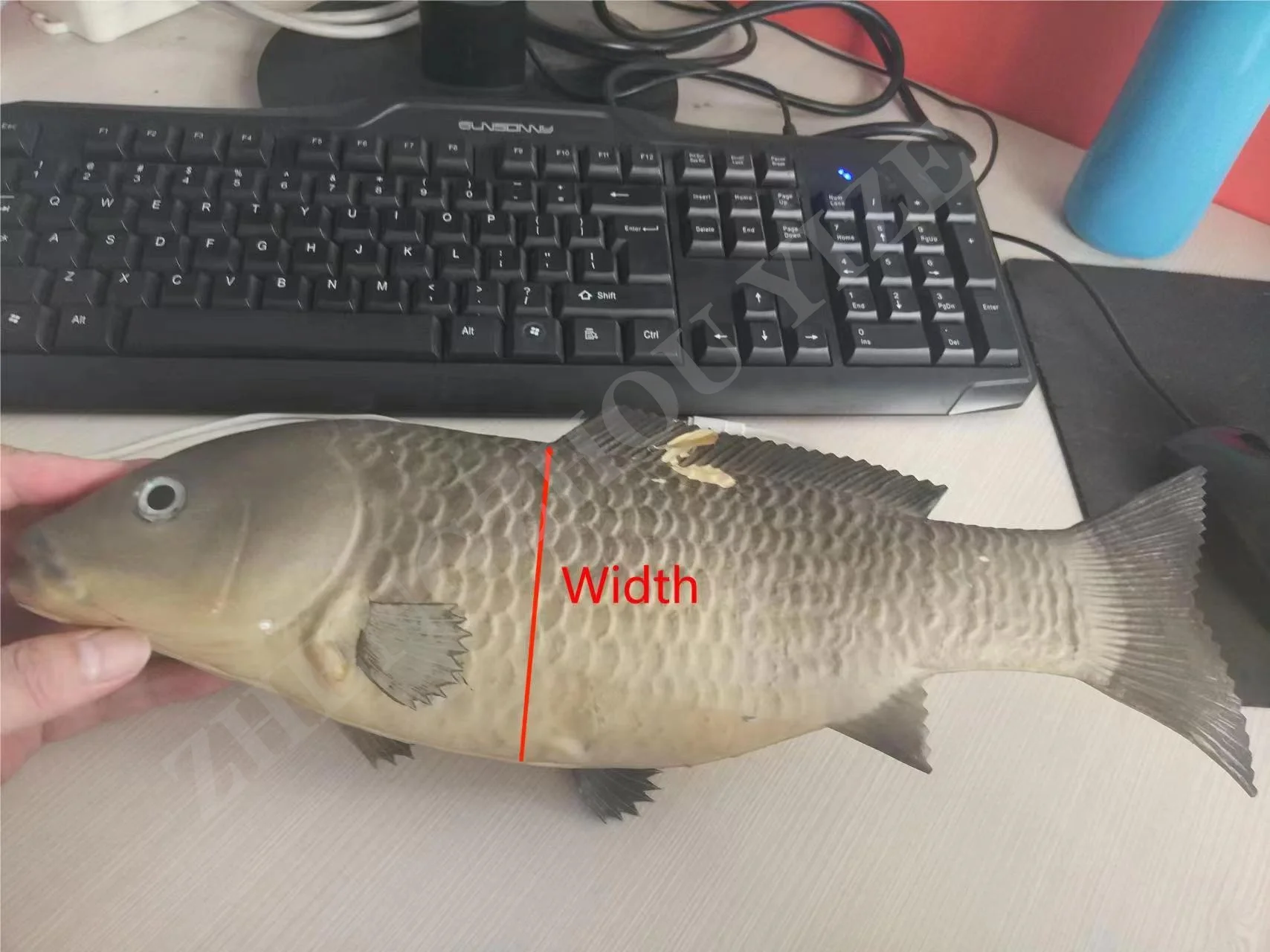 Fresh/frozen Fish Slicing Cutter Fish Fillet Machine Price Automatic Commercial Mackerel Fish Fillet Processing Machinery