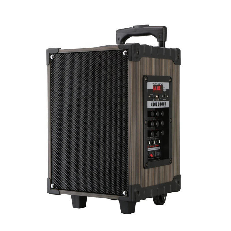 8 Inch Multi Function Big Wireless Speaker Outdoor Portable Wireless Trolley Speaker with Wireless Microphone and Remote