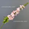 นกนางแอ่นบินเก่ง - สีชมพู