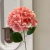 Bella Hydrangea Peach