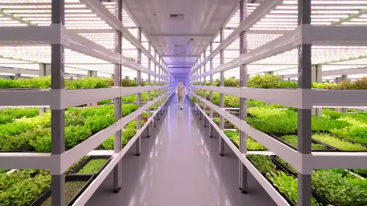 Hydroponic Growing Systems Container Vertical Farming Hydroponic Growing System