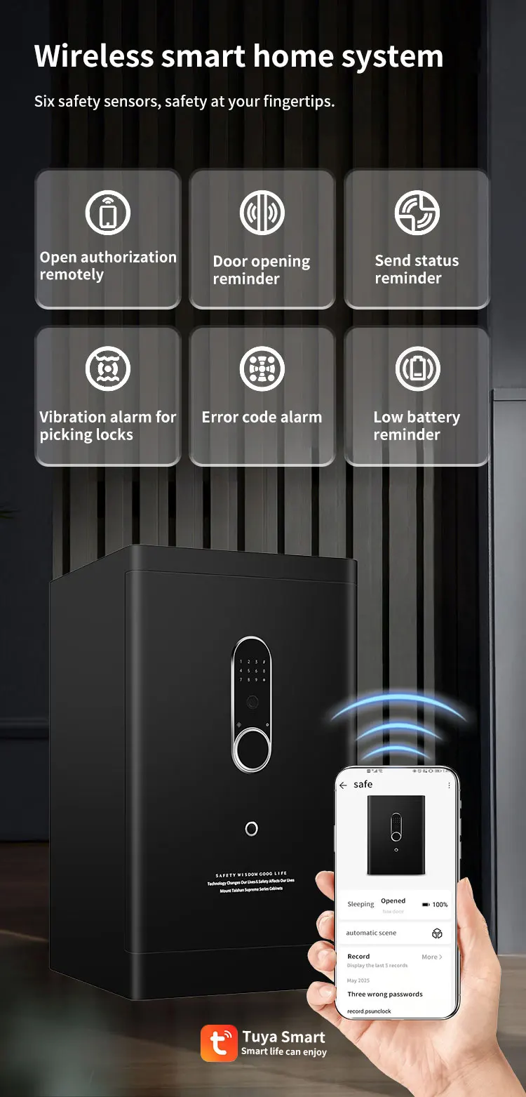 CEQSAFE Home & Office TUYA APP WiFi Password Safe with Storage Box Anti-Theft Feature factory