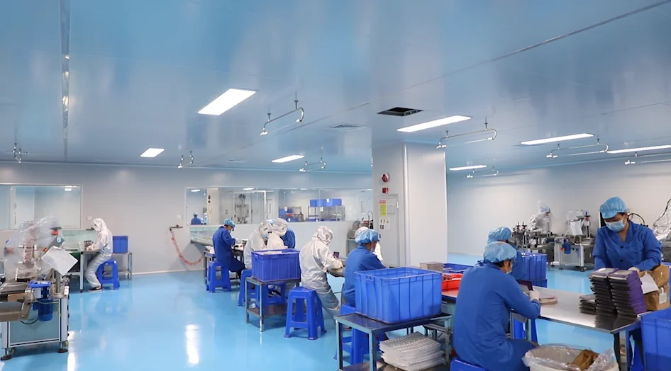 High Quality Vegan Lip Gloss Custom Logo Colors Glossy and Moisturizing with Matte Tint Low MOQ for Lip Makeup Waterproof supplier