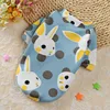 Blue Big Rabbit