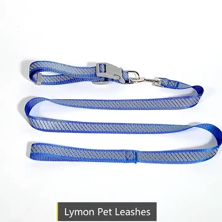 Lymon Pet Leashes Wholesale High Quality Dog Leash Nylon Reflective