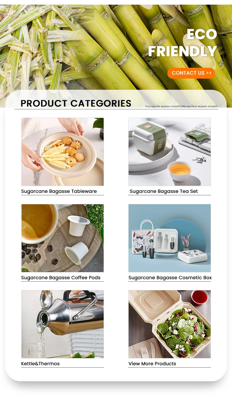 Biodegradables Eco Friendly Compostable Clamshell Sugarcane Pulp Food