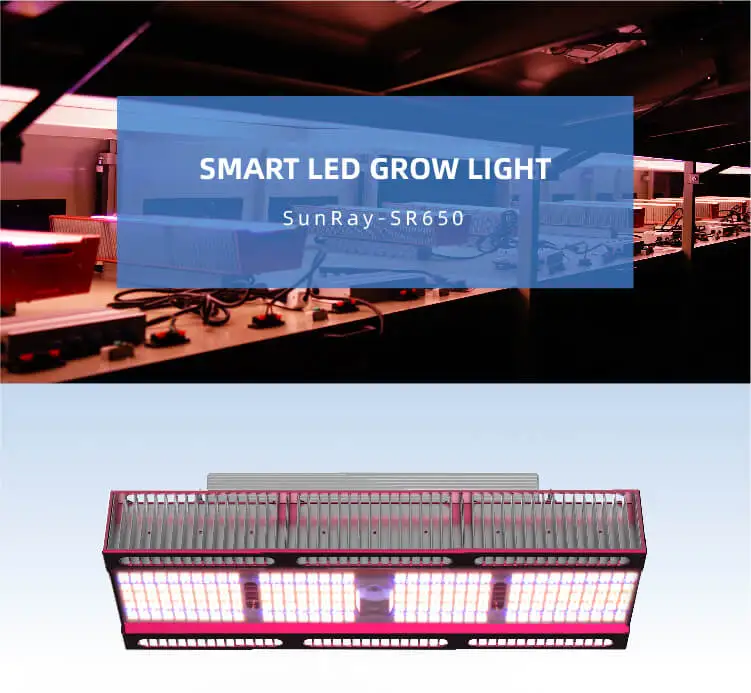 GrowSpec Professional Horticulture Lighting 650W LED Top Grow Light for Greenhouse Outdoor Farm