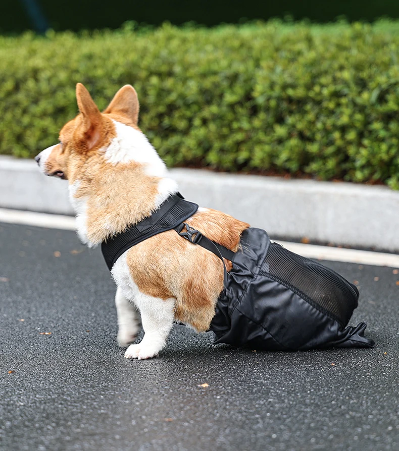 Indoor Paralyzed Dogs Cats Recovery Carrier Bag Help To Protect Pet