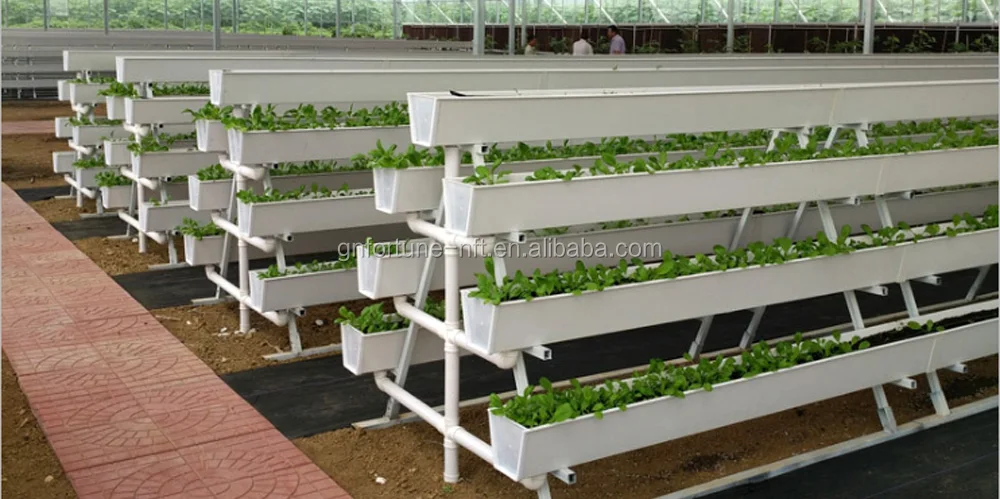 Large Greenhouse Strawberry Gutter: Hydroponic NFT System with Irrigation & Glass Cover