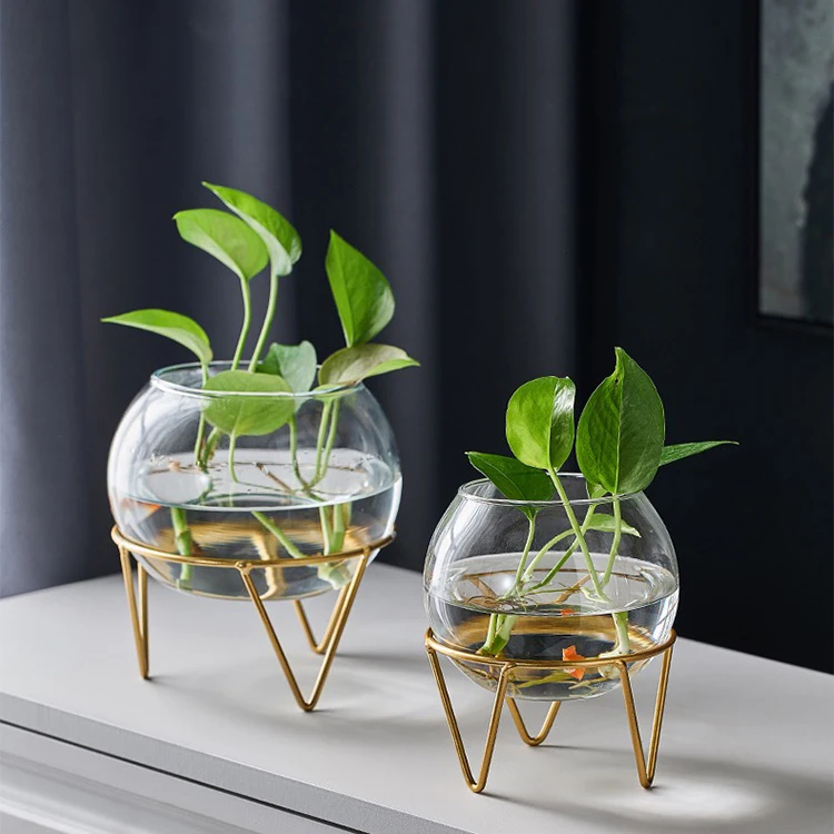 Shop Our Hot Sale Modern Glass Plant Stands for Home Decor