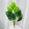 Palma di Areca
