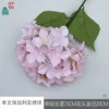 Hortensia búlgara individual XQ, rosa claro