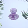 Champignon violet