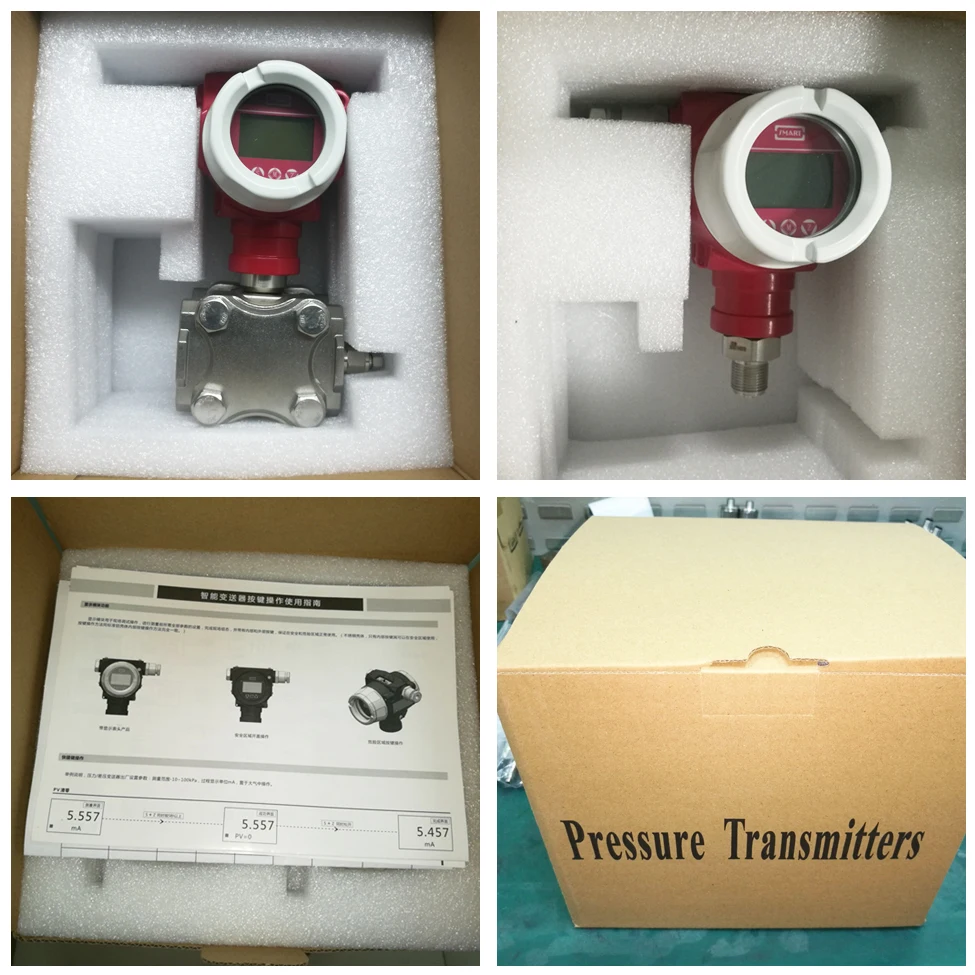 Leeg Iecex Approved Dmp305x-tst High-overpressure 4 20ma Two-wire