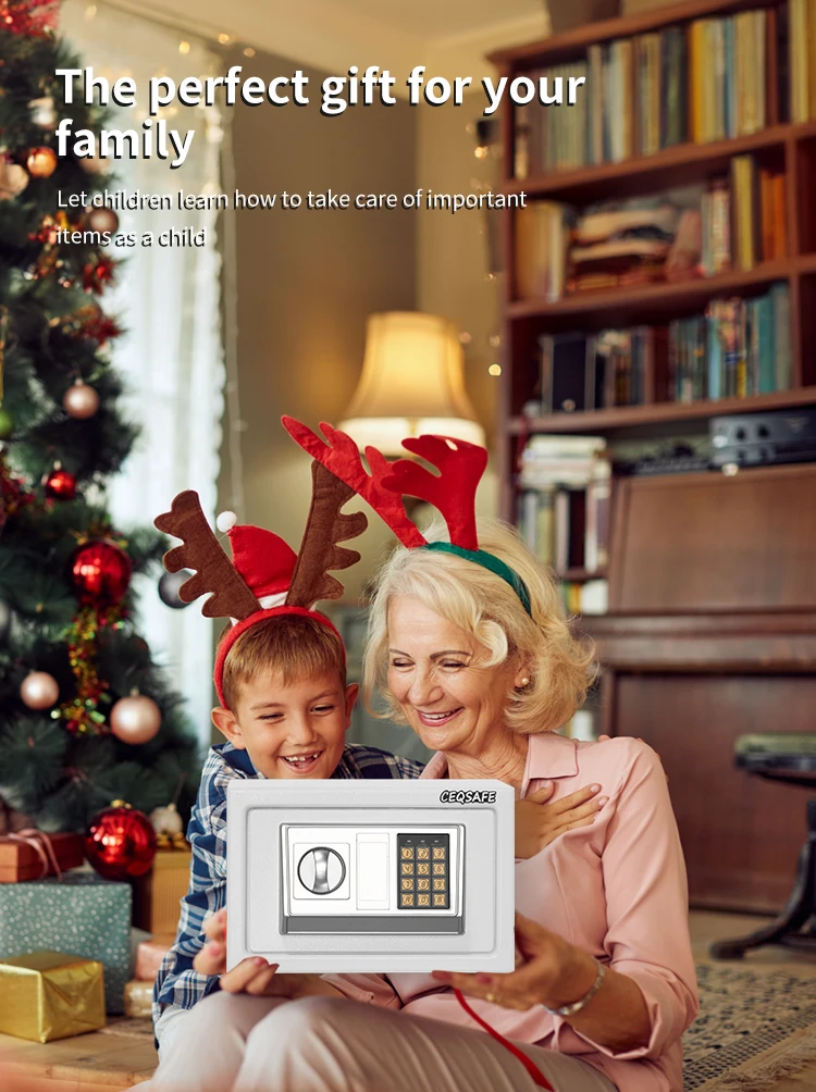 CEQSAFE Custom Mini Money Jewelry Digital Electronic Lock Safe Box Home Safe Box with Lock supplier