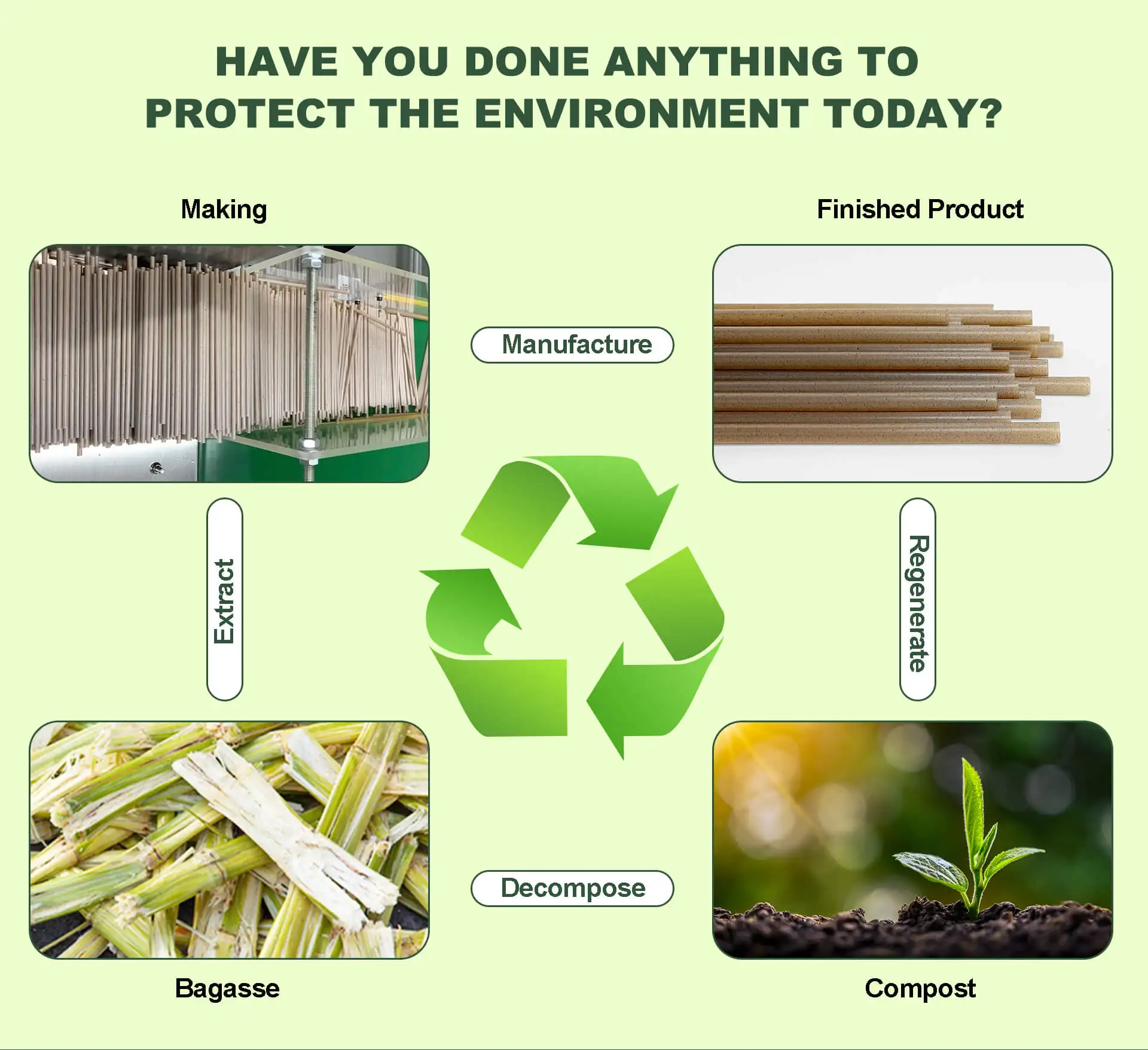 6mm 8mm 12mm Sugarcane Straws Biodegradable Plastic Free Eco-Friendly Compostable Drinking Smoothie Sugar Cane Bagasse Straw