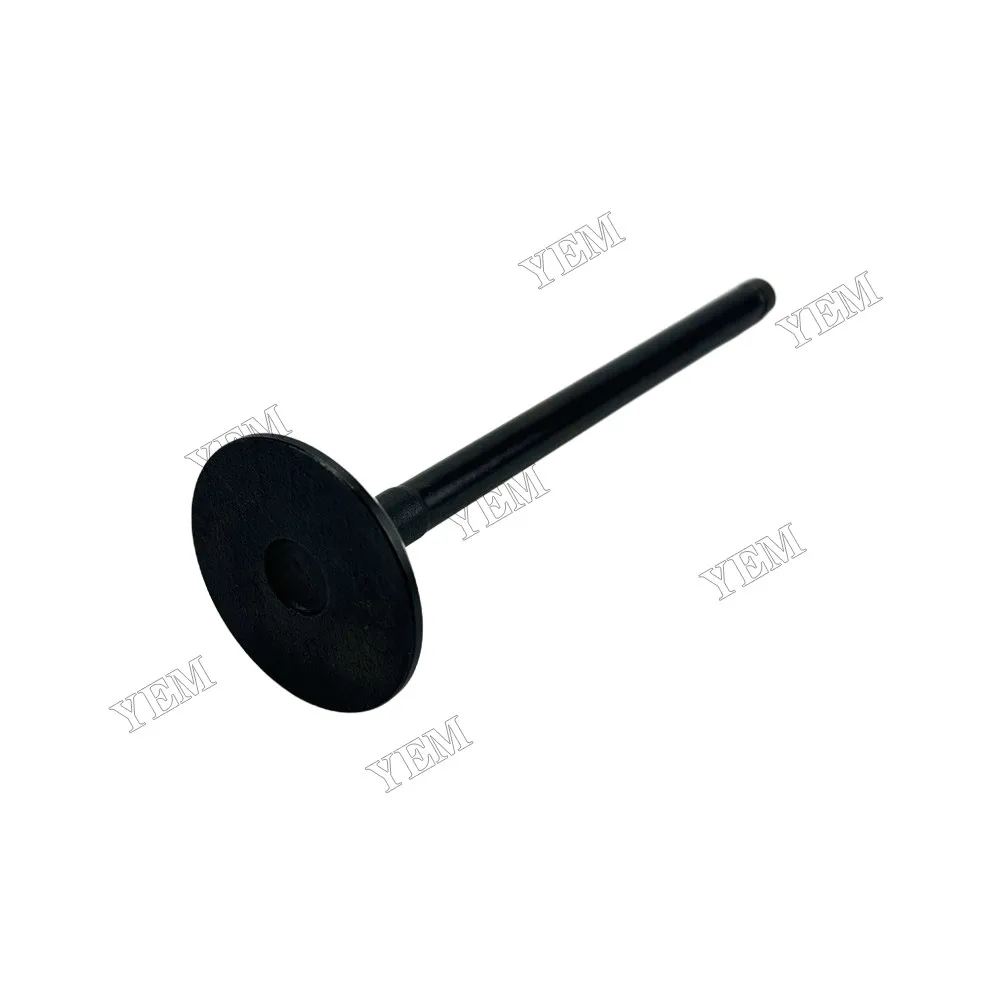 Intake Valve Fit for Mitsubishi 4D56 Engine 5