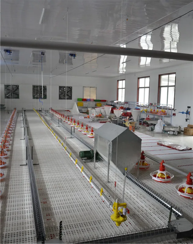 Automatic Feeder Poultry Chain Feeding System for Broiler