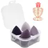 Violet 5 pièces