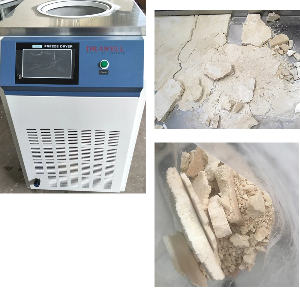 10ND Electric Heating Freeze Drying Machine Freeze Dryer Laboratory Lyophilizer Food Freeze Dryer