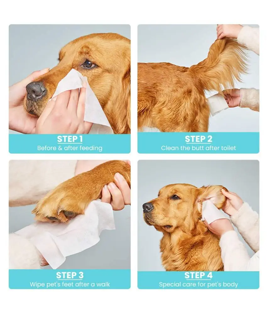 Factory Price Low Moq Wholesale Pet Care Product Dog Cleansing Wipes