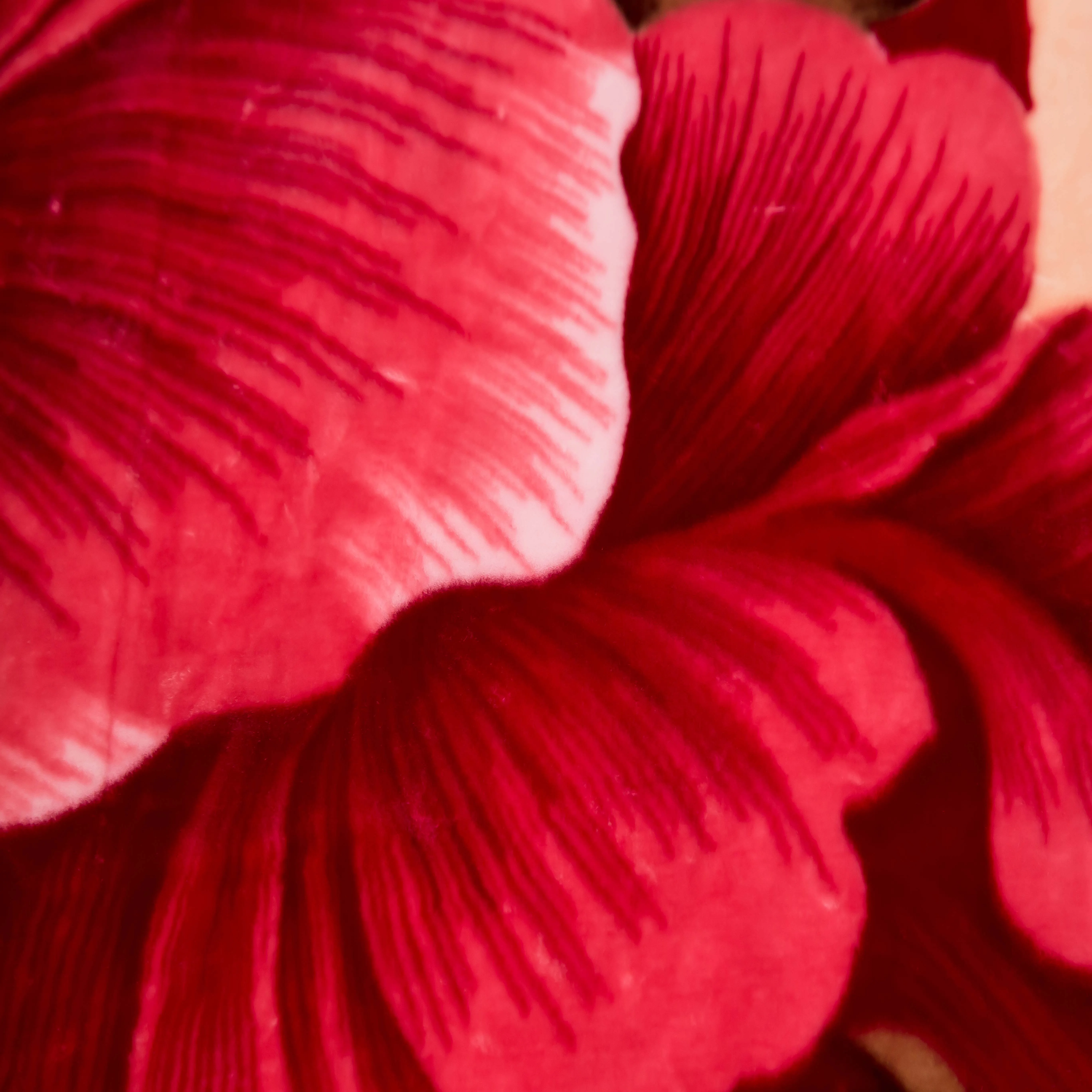 Used Blankets Bale Second Hand Raschel Coral Flannel Fleece Blanket