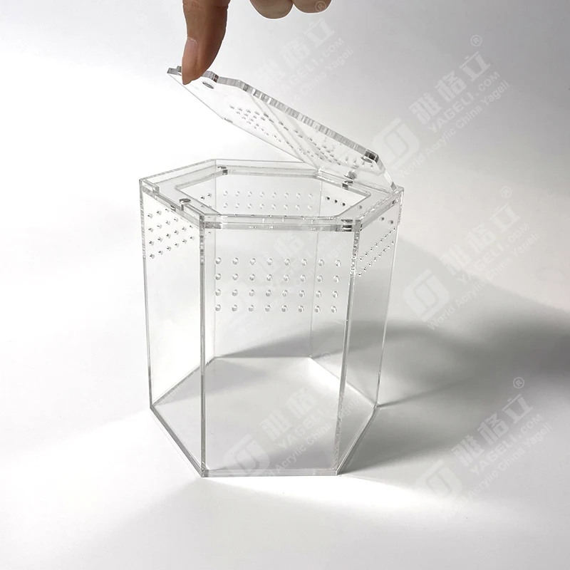 Acrylic Hexagonal Tarantula Spider Cage Acrylic Top Opening Box
