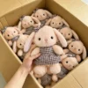 2 peluche (contattaci per il catalogo con oltre 6000 modelli)