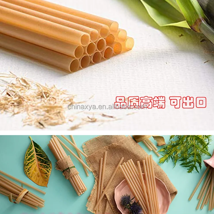 Eco Friendly Biodegradable Compostable Sugarcane Bagasse Disposable Drinking Straw manufacture