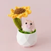 maiale e girasole