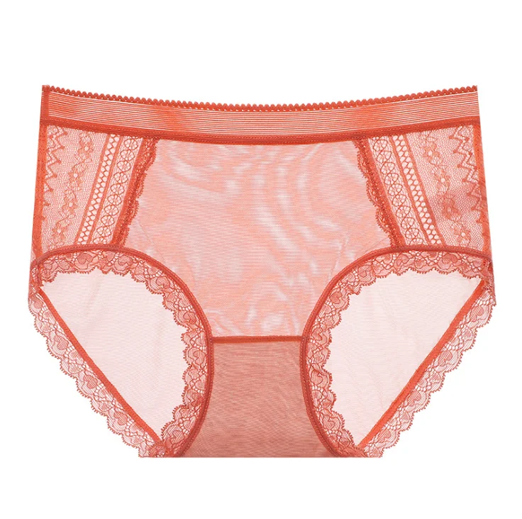 Transparent Hollow Lace Panties Mid-Low Waist Hipster Briefs Underwear Lingerie 