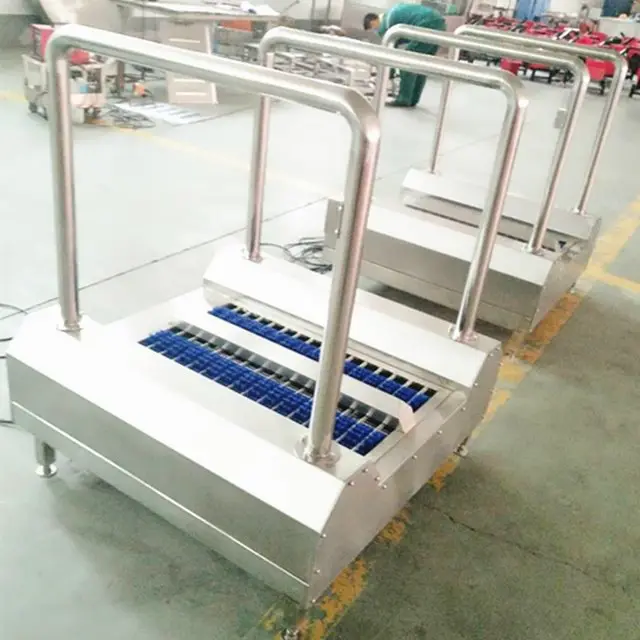Rubber boot cleaning machine for food processing plants