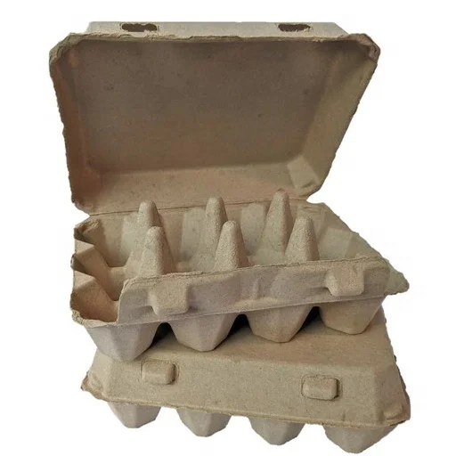 Factory Bulk Cheap Compostable Paper Pulp Egg Cartons Dozen 12 Cells