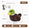 pato