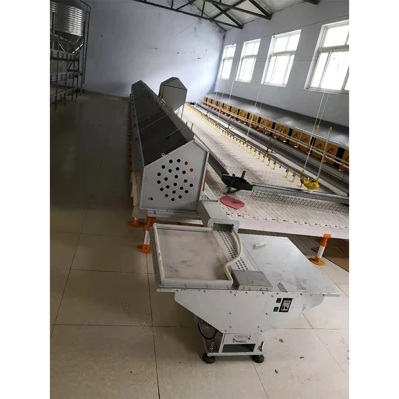 Automatic Feeder Poultry Chain Feeding System for Broiler