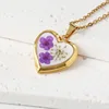White-Purple