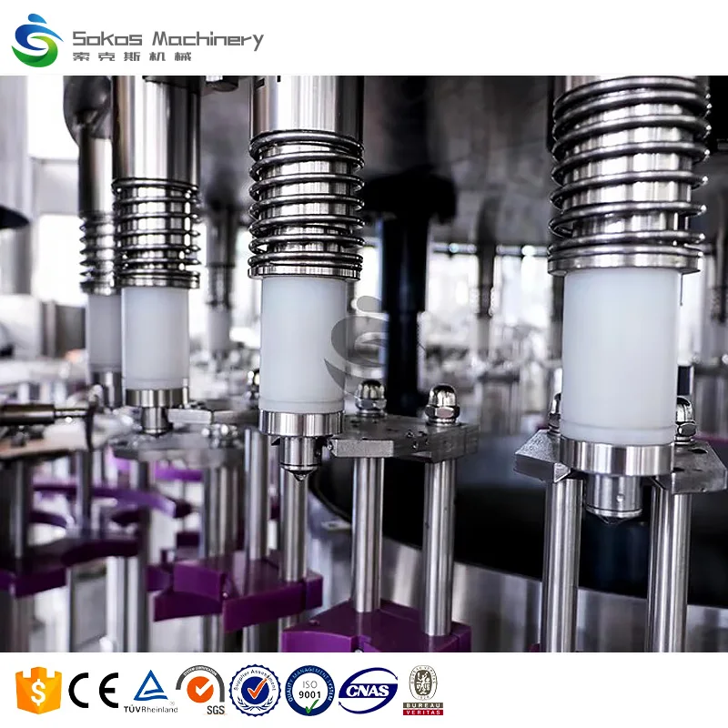 Fully Automatic Complete 2000BPH PET Bottled Drinking Mineral Water Filling Line