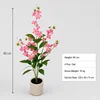 90cm Jasmine Plant