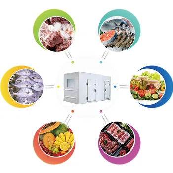 Easy-to-Operate Low-Temperature Freezer Compressor Food Cold Storage Room