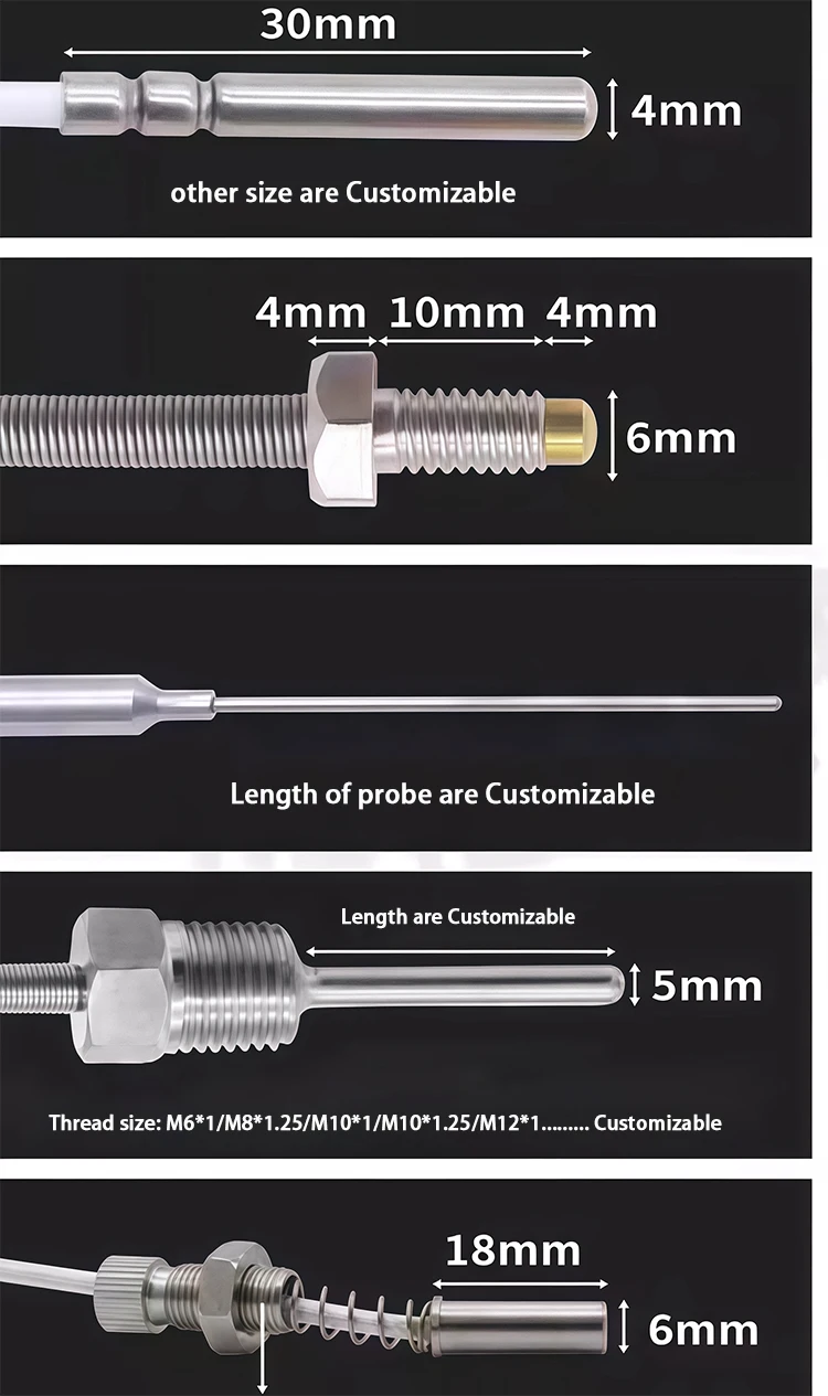 PT100 Platinum RTD Temperature Sensor