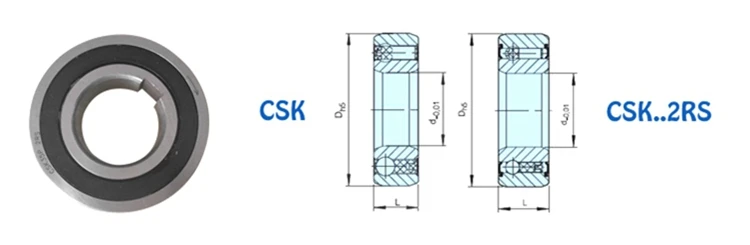CSK