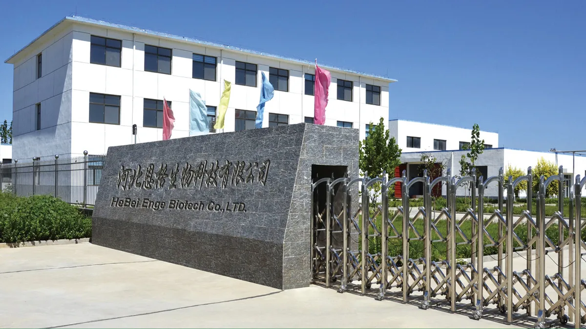 Hebei Enge Biotech Co., Ltd.