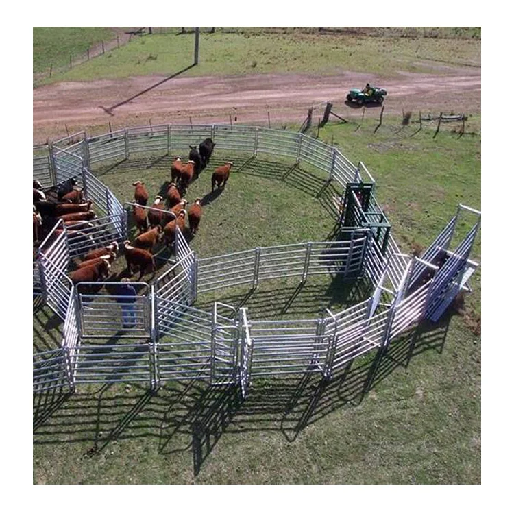 Easy for Installation Quantity Discounts Cow Panels 8x50 Cow Feed Panel Cow Horn Panel