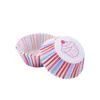 16 white-bottom cakes-1 tube-100 paper cups