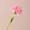 Rosa garofano con confezione indipendente