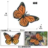 Colorida KZ - Mariposa