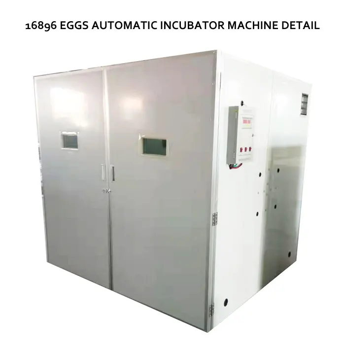 Farming Chicken Egg Incubator Brooder Equipment 16896 Egg Setter Haching Machine Incubator